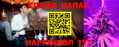 сатива Тверь