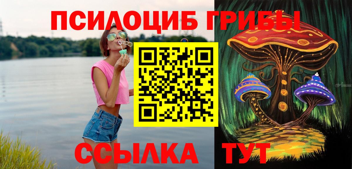 Галлюциногенные грибы Psilocybe  Вход с VPN  Омск 